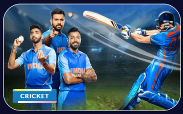 11xPlay Cricket Betting