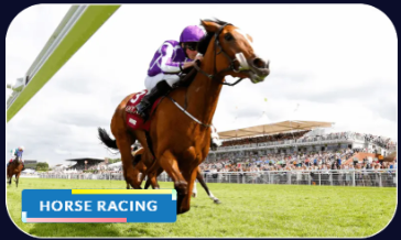 11xPlay Horse Racing Betting